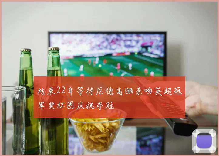 结束22年等待厄德高晒亲吻英超冠军奖杯图庆祝夺冠
